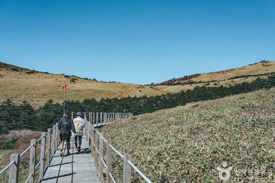 汉拿山登山步道