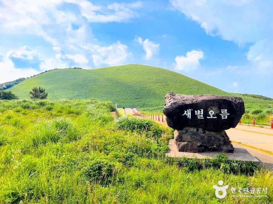 晓星岳的草坡